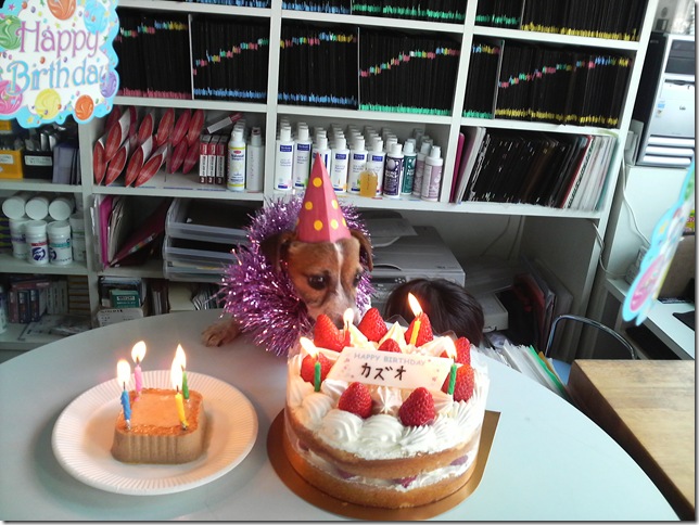 カズオ4thBirthday