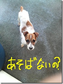 今日カズ080523