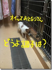 今日カズ080524