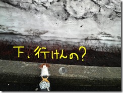 ぶらり5