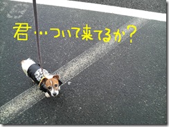 ぶらり6