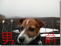 ぶらり10