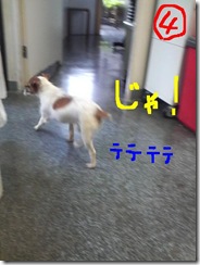4コマ目