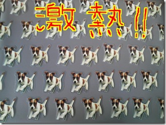 カズオ群