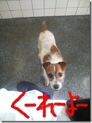 今日カズ080609
