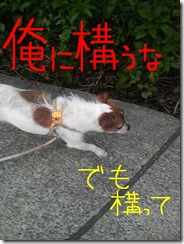 今日カズ080610