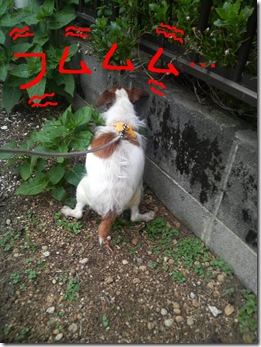 今日カズ080611