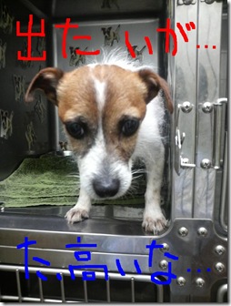 今日カズ080613
