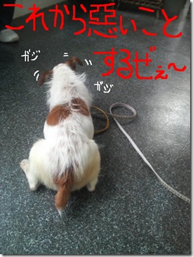 今日カズ080614