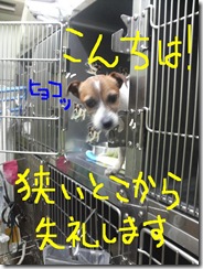 今日カズ080616
