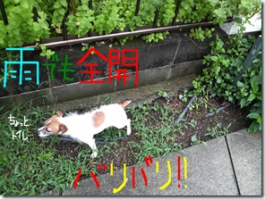 今日カズ080623