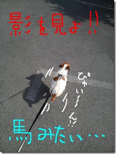 今日カズ080624－1