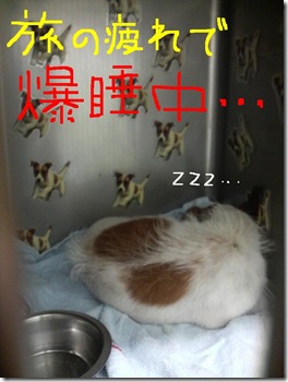 今日カズ080629