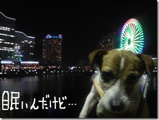 今日カズinYokohama 1