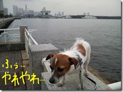 今日カズinYokohama 4