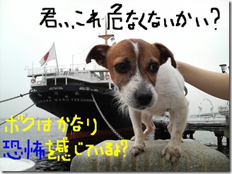 今日カズinYokohama 5