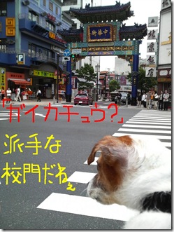今日カズinYokohama 6