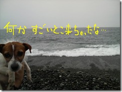 今日カズinOdawara 2