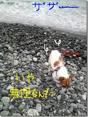 今日カズinOdawara 3