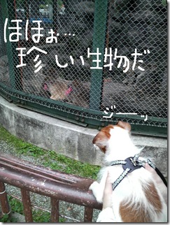 今日カズinOdawara 4