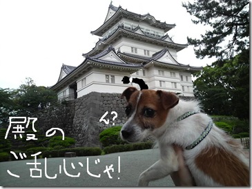 今日カズinOdawara 5