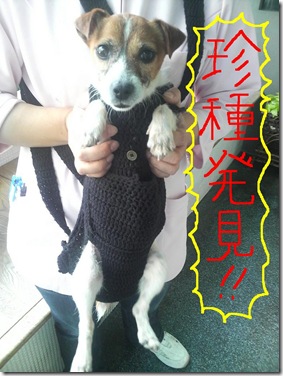 今日カズEXTRA 2