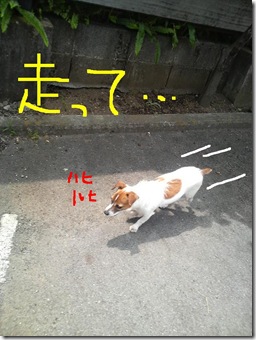 今日カズ080706　1
