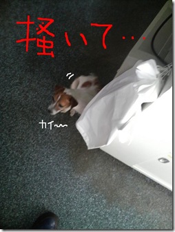今日カズ080706　2