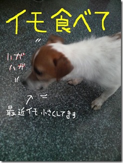 今日カズ080706　3
