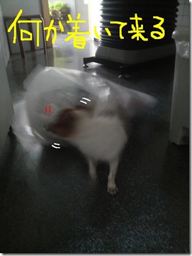今日カズ080706　4