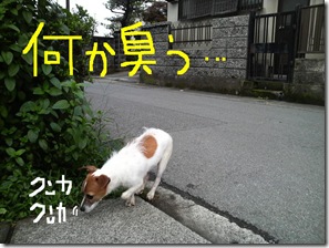 今日カズ080708　1