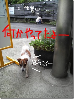 今日カズ080708　2