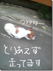 今日カズ080709　2