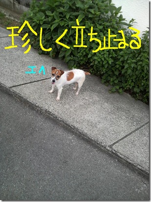 今日カズ080711　1