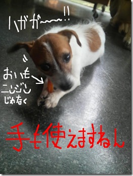 今日カズ080712　1