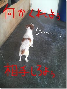 今日カズ080712　2