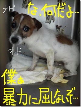 今日カズ080714　2