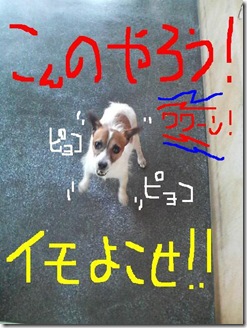 今日カズ080714　3