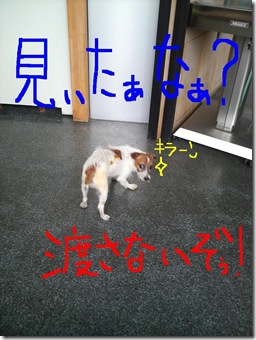 今日カズ080715　2