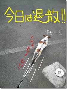 今日カズ080715　3