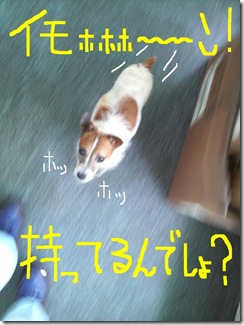 今日カズ080716　1