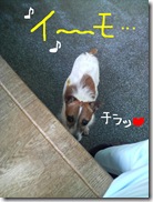 今日カズ080716　2