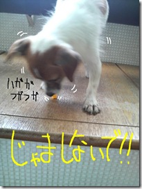 今日カズ080716　5