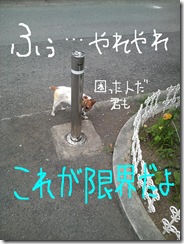 今日カズ080718　3