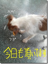 今日カズ080719　3
