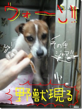 今日カズ080720　3