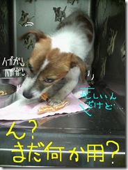 今日カズ080720　4