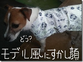 今日カズ080722　3