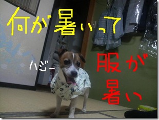 今日カズ080725　1