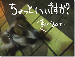 今日カズ080725　3